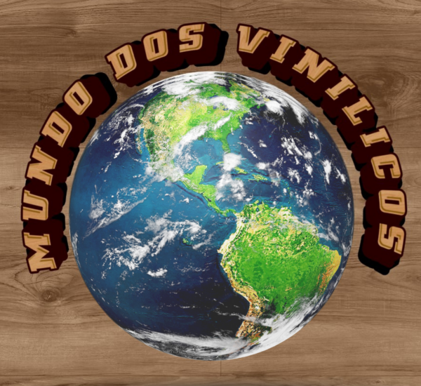 LOGO MUNDO DOS VINILICOS E1772122212593 600x550